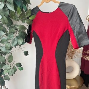 Two Tone Dress with Leather